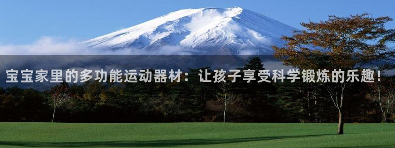 凯捷体育代理:宝宝家里的多功能运动器材:让孩子享受科学锻炼的