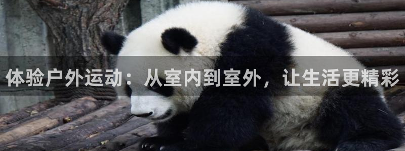 凯捷体育娱乐:体验户外运动:从室内到室外,让生活更精彩