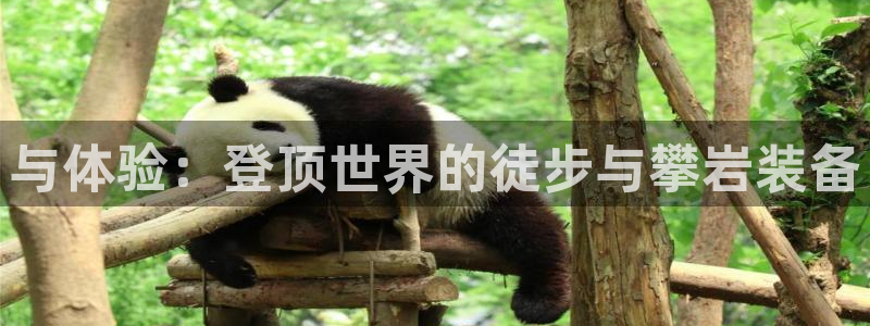 海南凯捷体育发展怎么样:与体验:登顶世界的徒步与攀岩装备