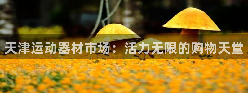 凯捷体育娱乐首页官网下载:天津运动器材市场:活力无限的购物天