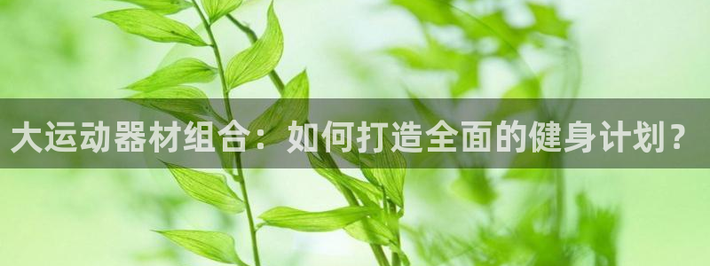 凯捷体育平台注册流程图:大运动器材组合:如何打造全面的健身计