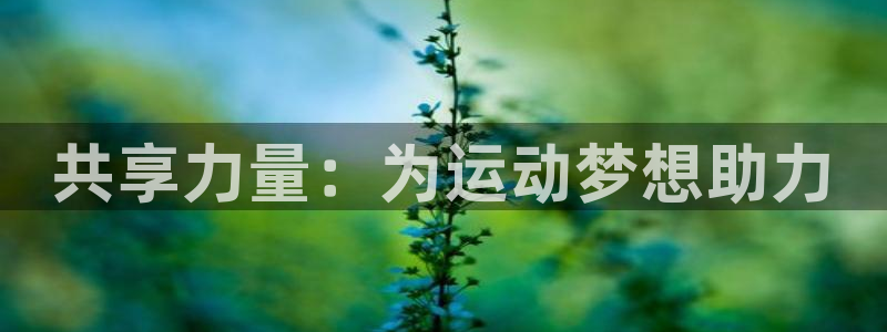 凯捷体育招商电话是多少号码:共享力量:为运动梦想助力