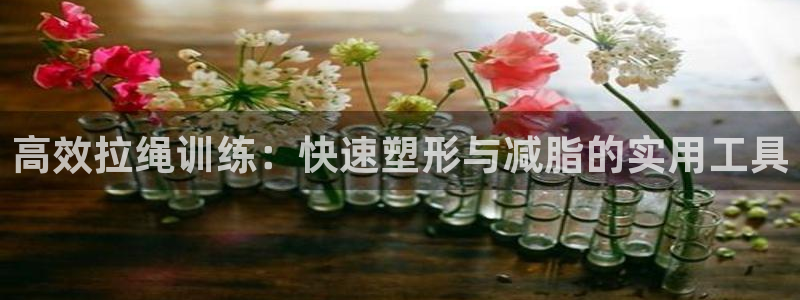 意昂集团官网:高效拉绳训练:快速塑形与减脂的实用工具