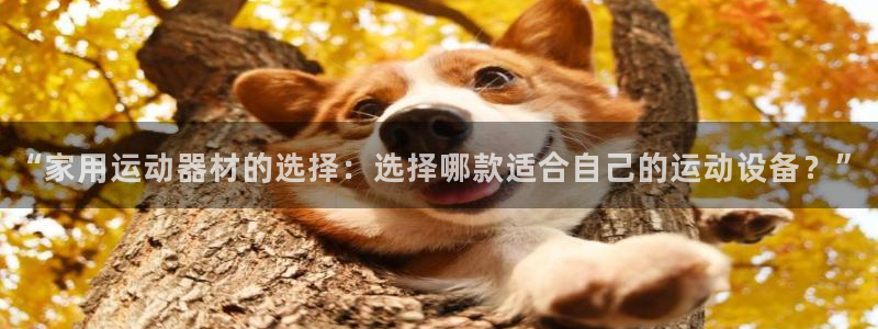 凯捷体育官方:“家用运动器材的选择:选择哪款适合自己的运动设